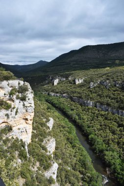 Dağlardan ve ormandan geçen nehir.