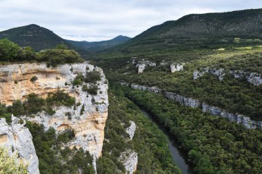 Dağlardan ve ormandan geçen nehir.