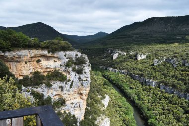 Dağlardan ve ormandan geçen nehir.