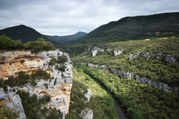 Dağlardan ve ormandan geçen nehir.