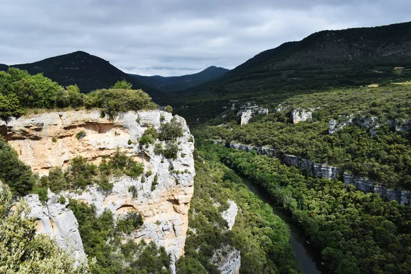 Dağlardan ve ormandan geçen nehir.