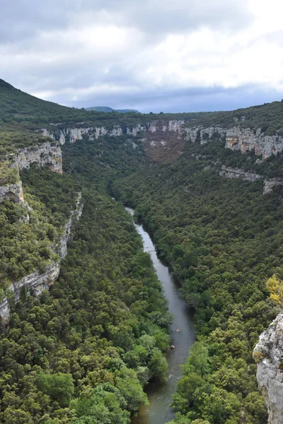 Dağlardan ve ormandan geçen nehir.
