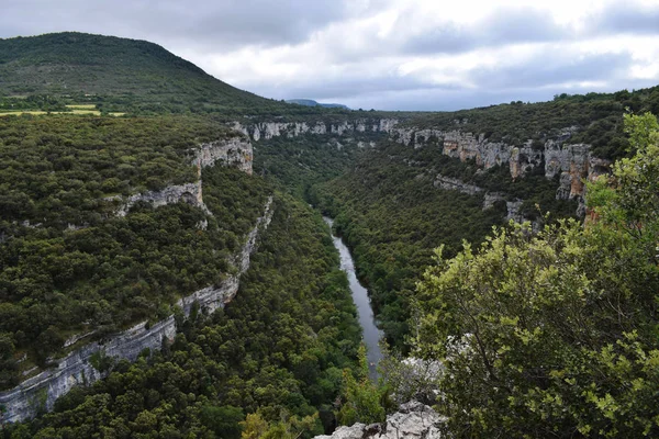 Dağlardan ve ormandan geçen nehir.