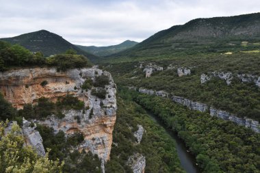 Dağlardan ve ormandan geçen nehir.