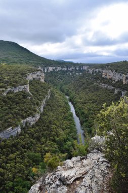 Dağlardan ve ormandan geçen nehir.