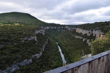 Dağlardan ve ormandan geçen nehir.
