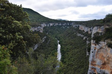 Dağlardan ve ormandan geçen nehir.