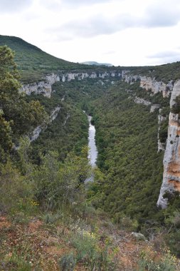 Dağlardan ve ormandan geçen nehir.