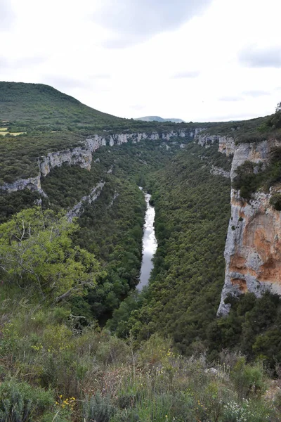 Dağlardan ve ormandan geçen nehir.