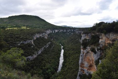 Dağlardan ve ormandan geçen nehir.