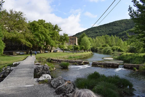 Fiume Che Attraversa Montagne Foreste — Foto Stock