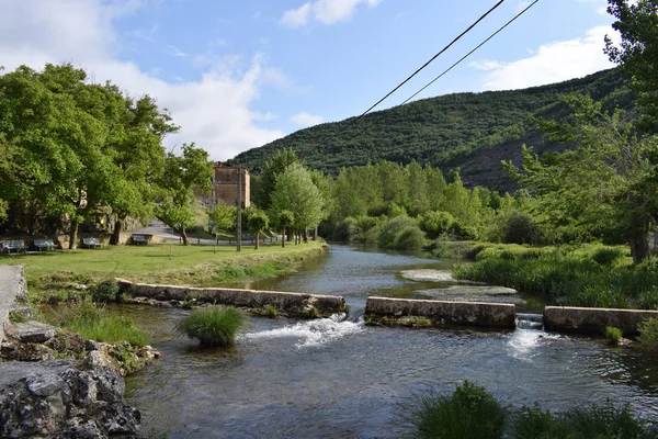 Dağlardan ve ormanlardan geçen nehir.