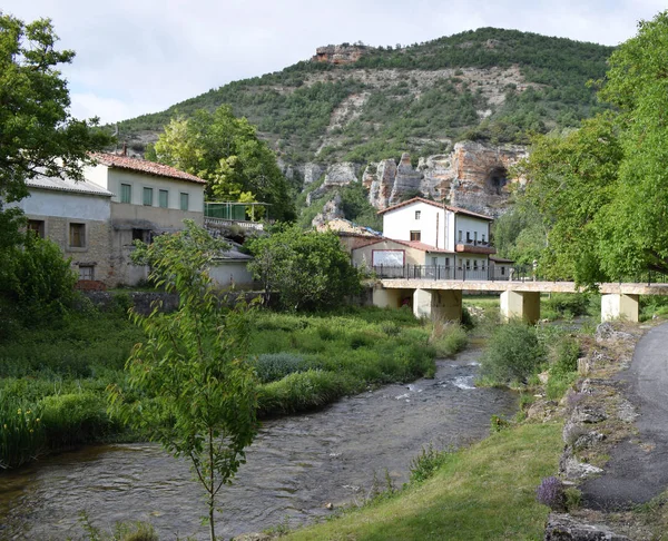 Dağlardan ve ormanlardan geçen nehir.