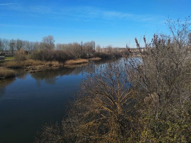 Sonbahar yaprakları olmayan ağaçlarla nehir.