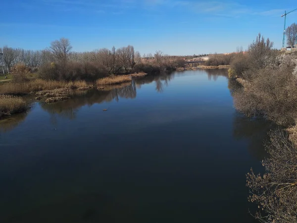 Sonbahar yaprakları olmayan ağaçlarla nehir.