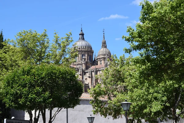 Καθεδρικοί Ναοί Και Θρησκευτικά Μνημεία Της Σαλαμάνκα Ισπανία — Φωτογραφία Αρχείου