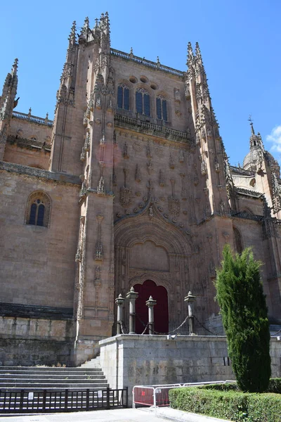 Salamanca Spanya Katedralleri Dini Anıtları — Stok fotoğraf