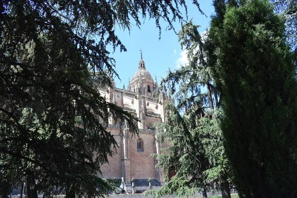 Cattedrali Monumenti Religiosi Salamanca Spagna — Foto Stock