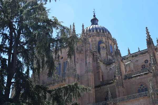 Salamanca Spanya Katedralleri Dini Anıtları — Stok fotoğraf