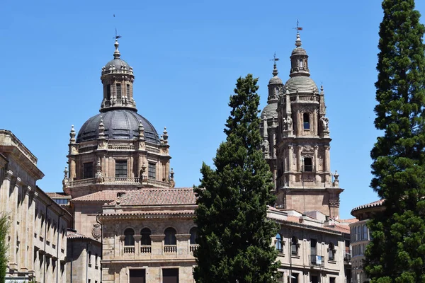 Catedrales Monumentos Religiosos Salamanca España —  Fotos de Stock