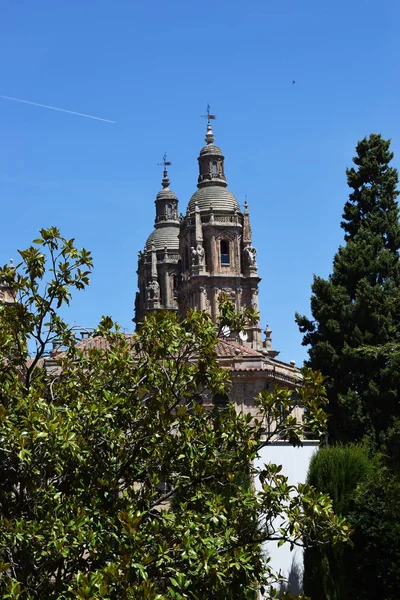 Собори Релігійні Пам Ятники Саламанки Іспанія — стокове фото
