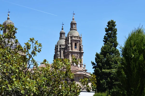 Salamanca Spanya Katedralleri Dini Anıtları — Stok fotoğraf