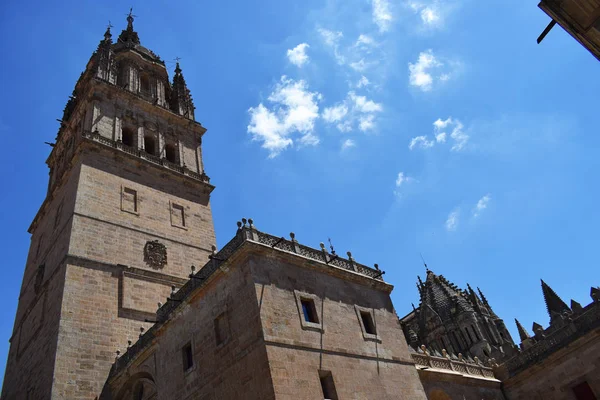 Cathédrales Monuments Religieux Salamanque Espagne — Photo