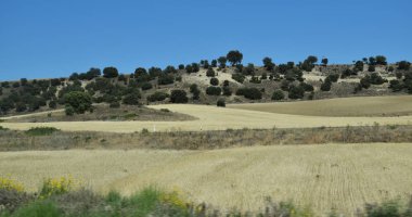 Yoldan görülen dağlar ile bitkileri Manzaralar.