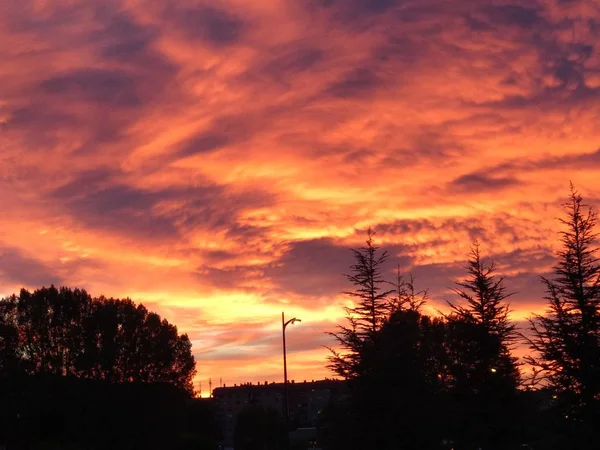 Silhouette Von Gebäuden Und Bäumen Bei Sonnenuntergang — Stockfoto