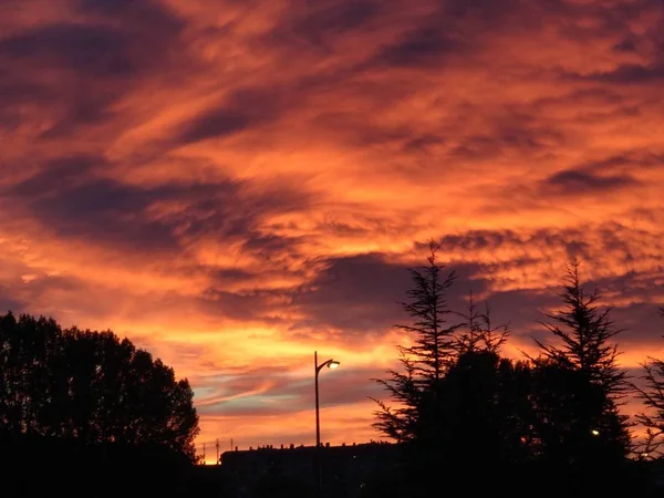 Silhouette Von Gebäuden Und Bäumen Bei Sonnenuntergang — Stockfoto