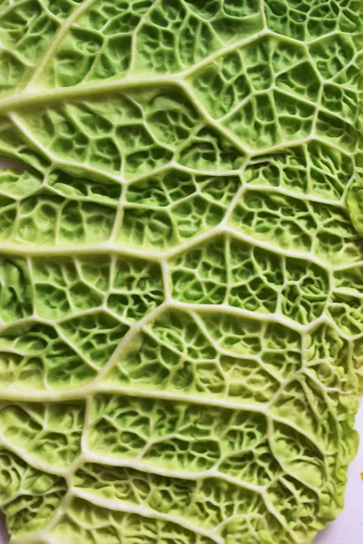 Texture Cabbage Leaf — Stock Photo, Image