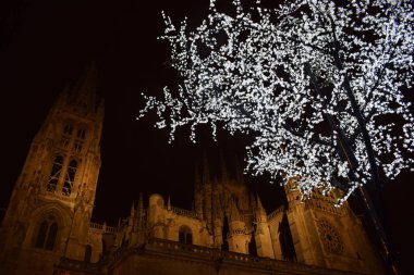 Ağaç dalları Noel ışıkları.