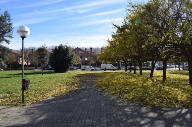 Güneşli bir sonbahar gününde Parklar.