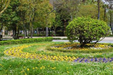 Bahçede çiçekler ve çalılar.