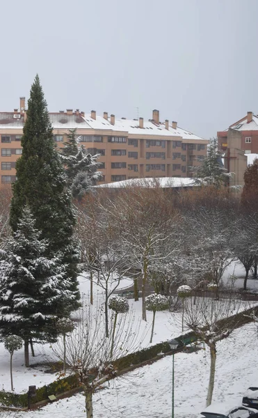 Parques Jardines Nevados — Foto de Stock