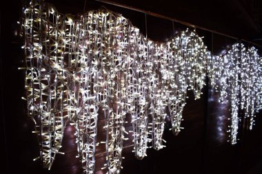 Ağaç dalları Noel ışıkları.