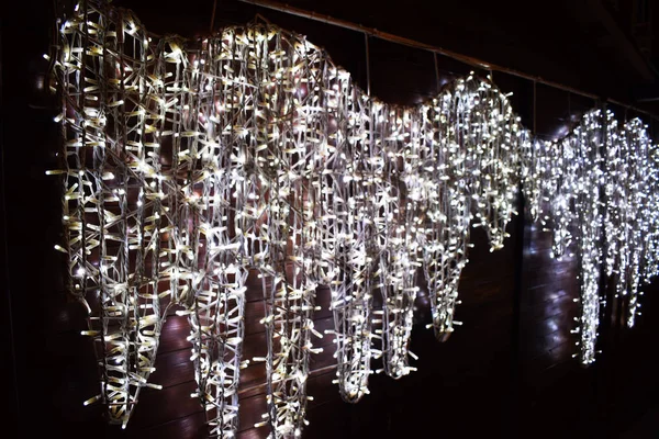 Ağaç dalları Noel ışıkları.