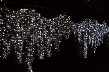 Ağaç dalları Noel ışıkları.