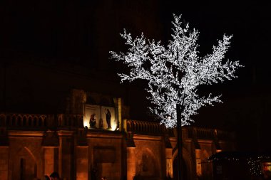 Ağaç dalları Noel ışıkları.