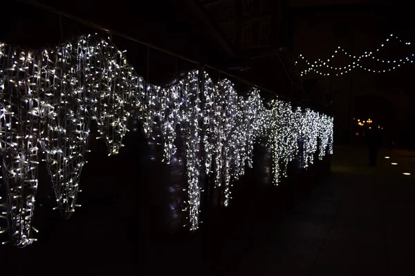 Ağaç dalları Noel ışıkları.