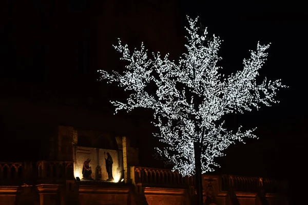 Ağaç dalları Noel ışıkları.