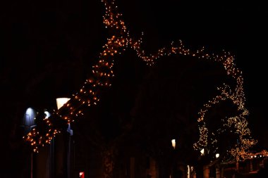 Ağaç dalları Noel ışıkları.