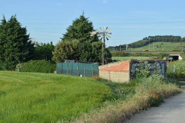 Tarlanın ortasında bir yel değirmeni..