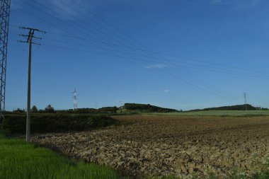 Yazın elektrik hatları olan yeşil çayır manzarası.