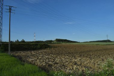 Yazın elektrik hatları olan yeşil çayır manzarası.