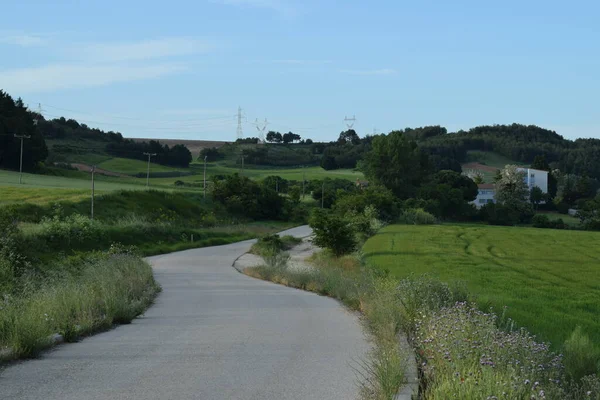 Strade Rustiche Nei Campi Primavera — Foto Stock