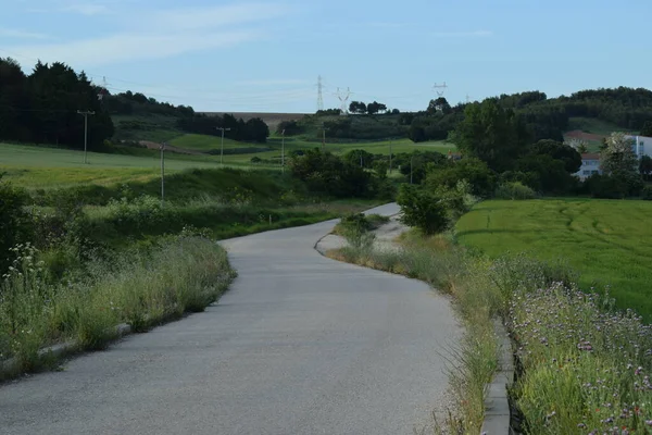 Strade Rustiche Nei Campi Primavera — Foto Stock