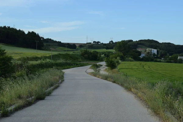 Strade Rustiche Nei Campi Primavera — Foto Stock