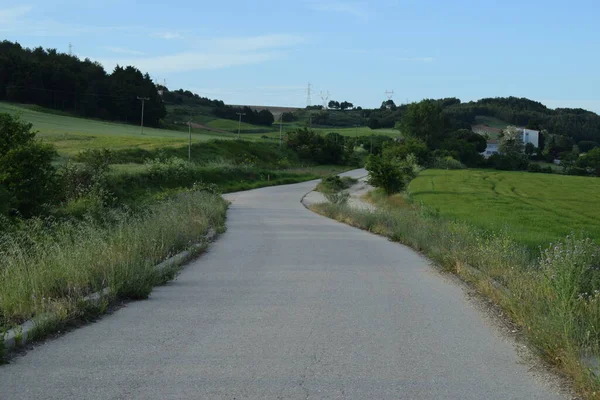 Strade Rustiche Nei Campi Primavera — Foto Stock