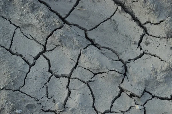 Terra Rachada Por Uma Seca Devido Alterações Climáticas — Fotografia de Stock